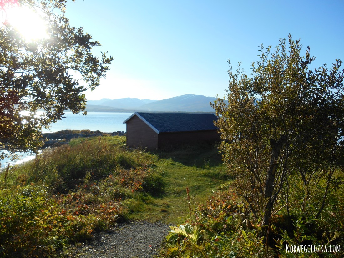 DSCN3088.JPG