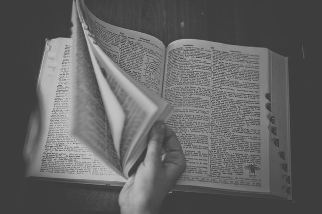 books-writing-reading-sonja-langford